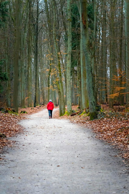 034_Walking_02.jpg