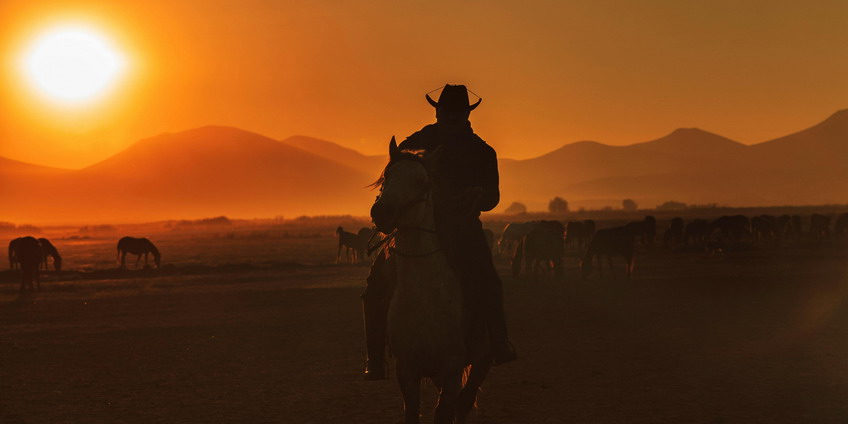 047_Cowboy_01.jpg