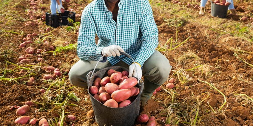 048_Farmer_01.jpg