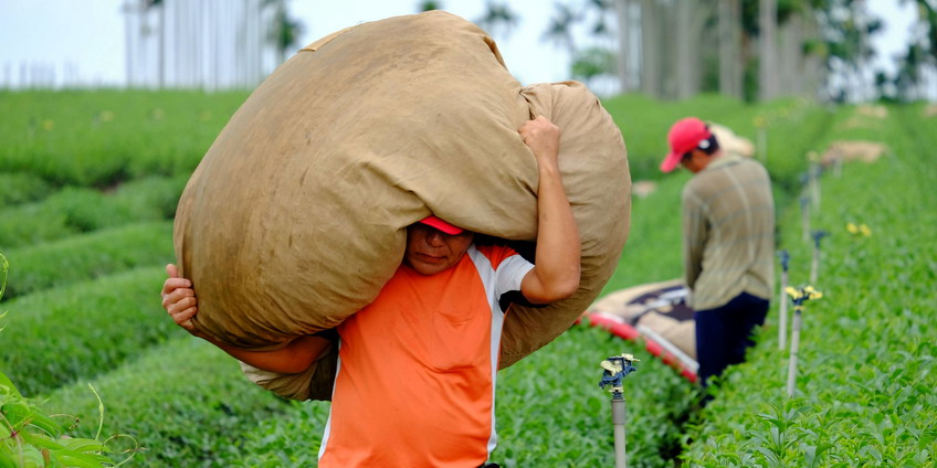048_Farmer_04.jpg